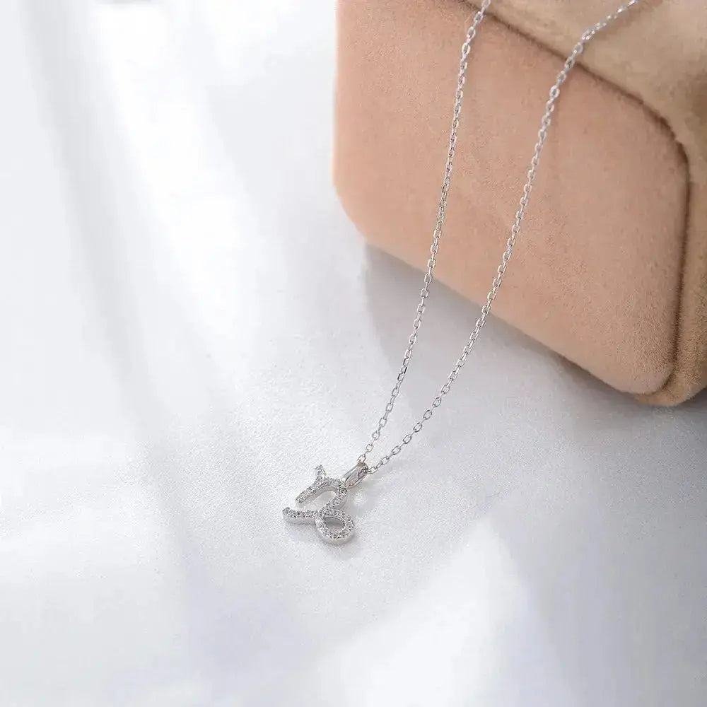 Silver Zodiac Necklace shop name