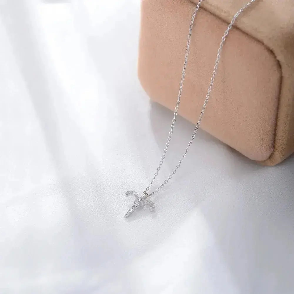 Silver Zodiac Necklace shop name