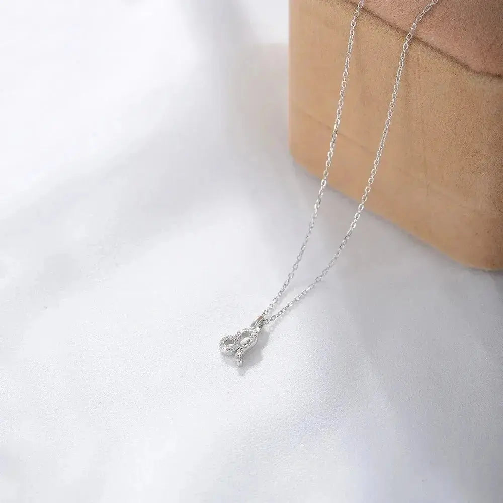 Silver Zodiac Necklace shop name